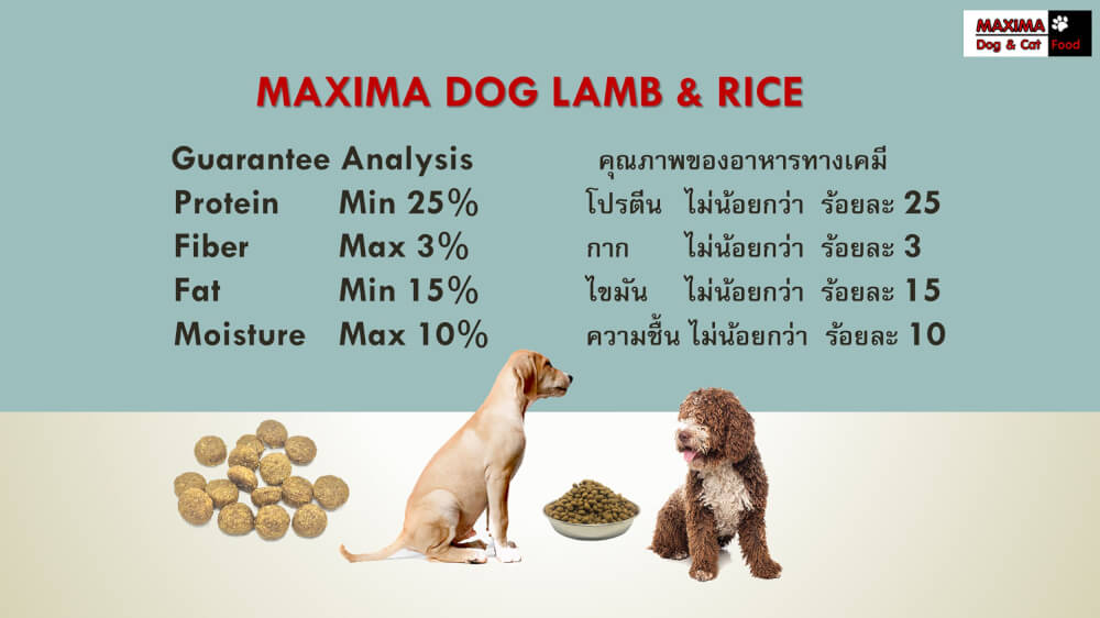 อาหารเม็ด สำหรับสุนัข แม็กซีม่า สายพันธุ์ใหญ่ 2 กก. แถม อาหารเปียกสุนัข แม็กซีม่า สูตรดูแล ผิวหนัง และ เส้นขน 380 กรัม